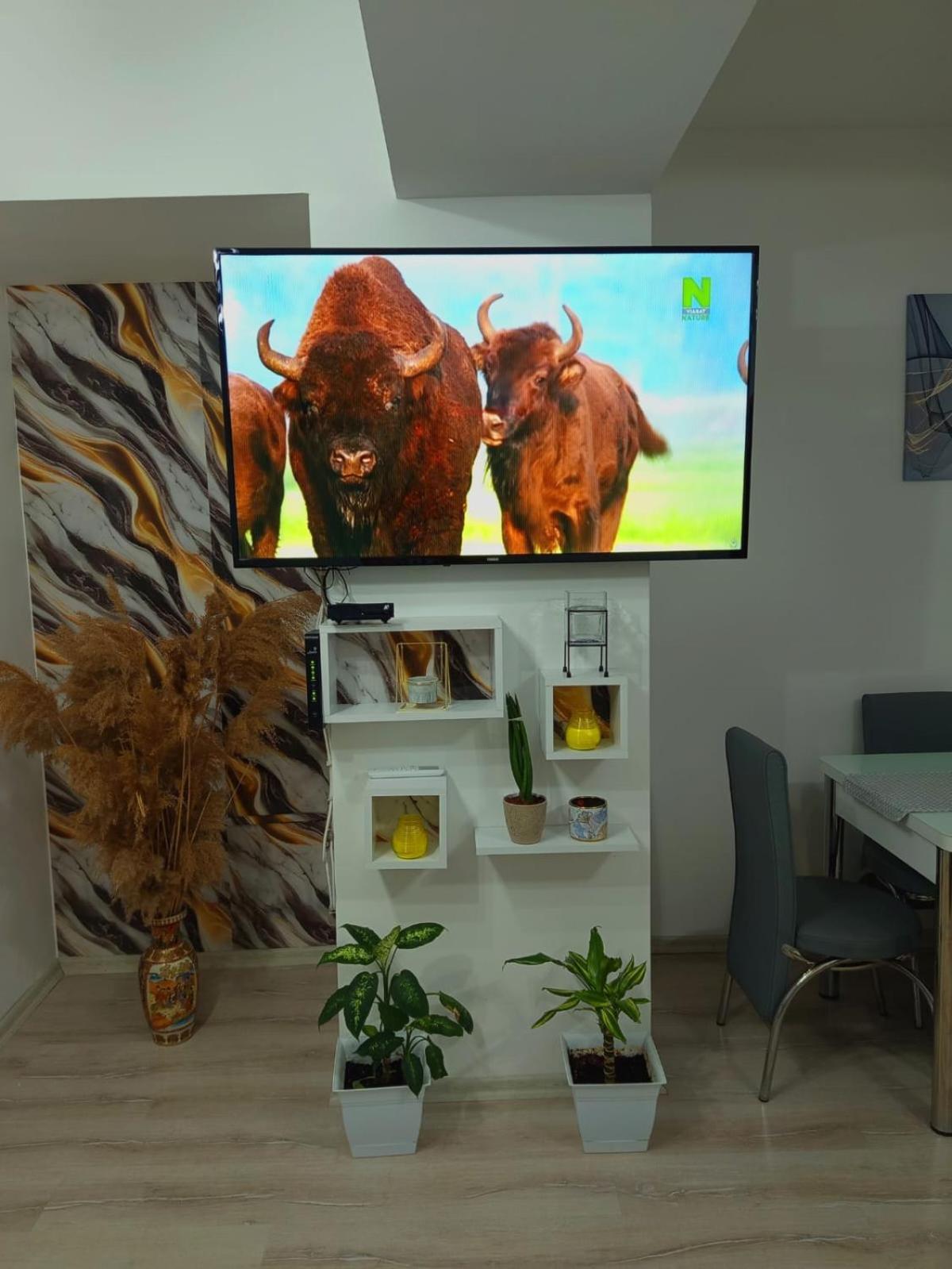 Maksim Apartments Szkopje Kültér fotó